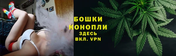 мдпв Бородино