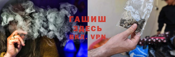 мдпв Бородино