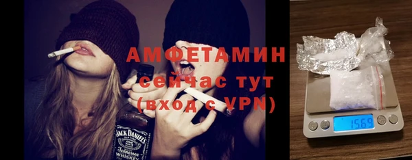 мдпв Бородино