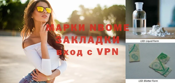 мдпв Бородино