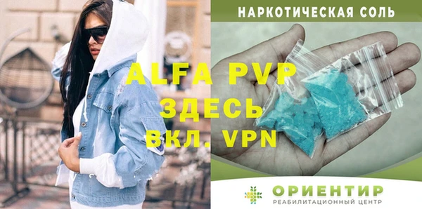 мдпв Бородино