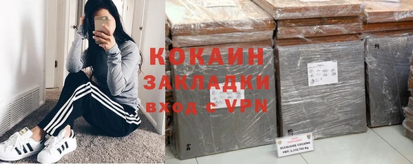 мдпв Бородино