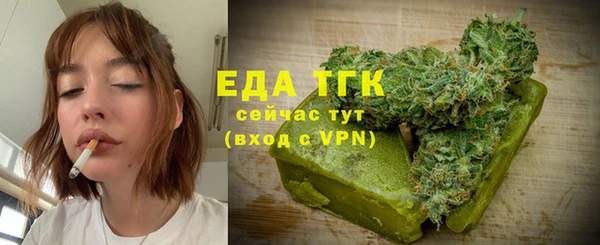 мдпв Бородино