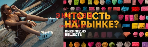 дживик Богородицк
