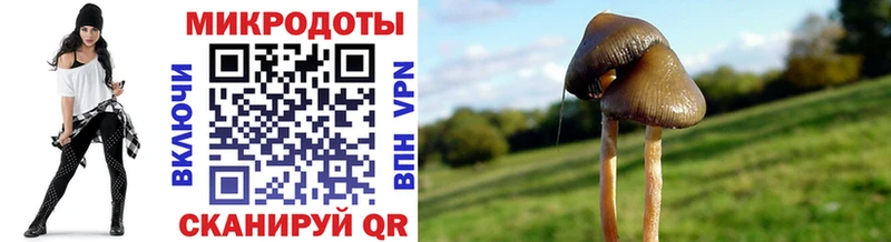 как найти   Северская  Галлюциногенные грибы мухоморы 